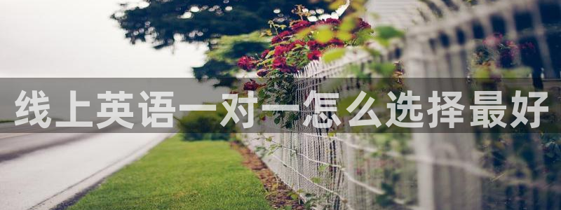 龙8国际app下载安装
