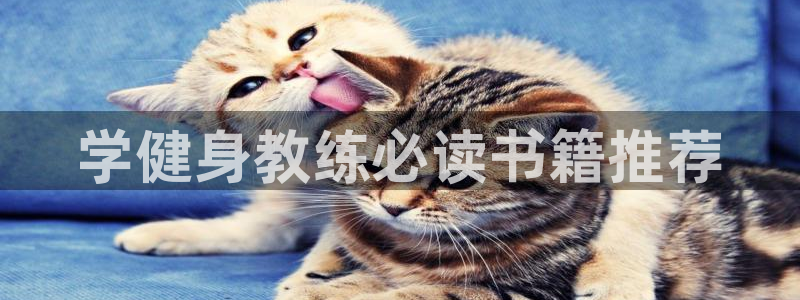 龙8唯一官网