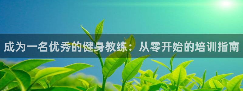 龙8国际pt官方网址