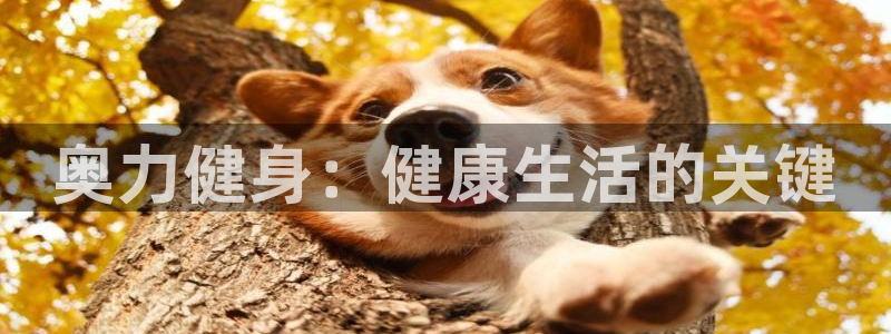 龙8国际app客户端下载不了
