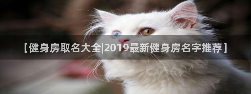龙8国际老虎机电子