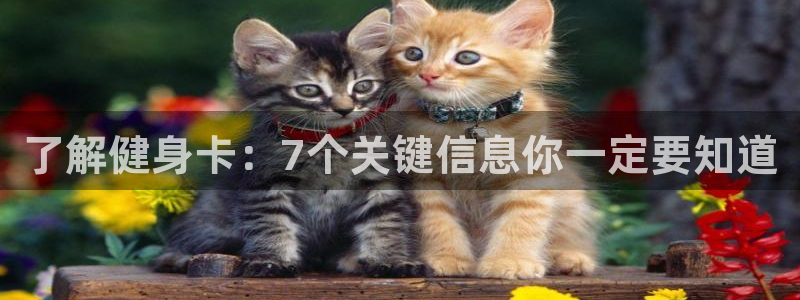 龙8国际唯一官网官方版