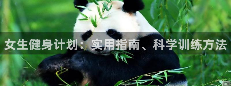 龙8国际网站怎么样