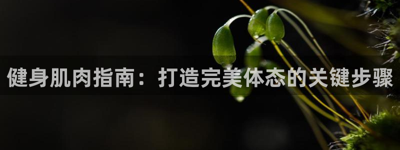 龙8国际免费试玩