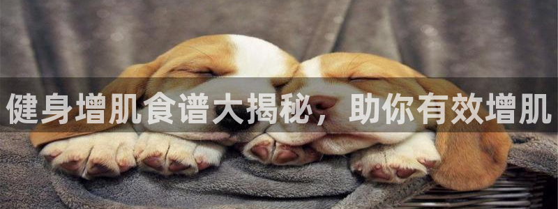 龙8国际安卓官方版fxzls-1.2.1 -安卓