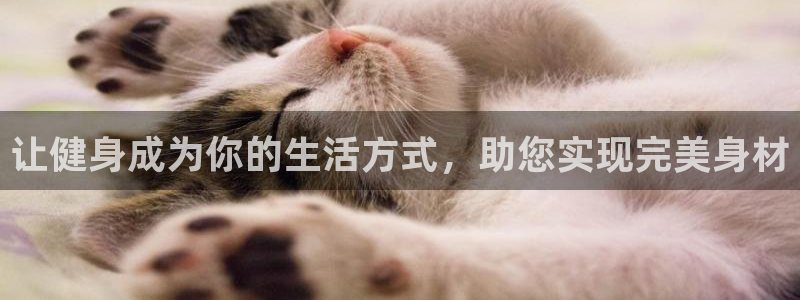 龙8国际是什么电影