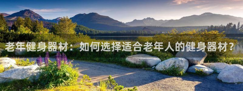 龙8游戏官方网站p