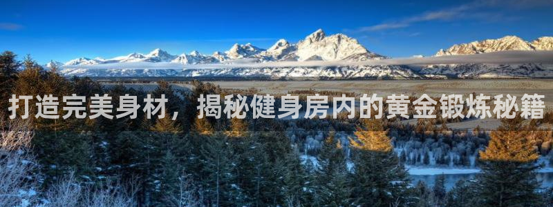 龙8国际最新官网