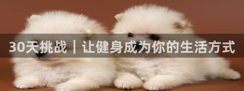 龙8国际唯一