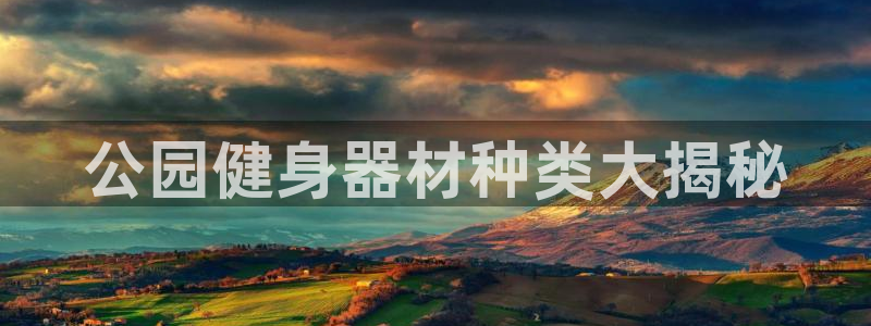 龙 八国际