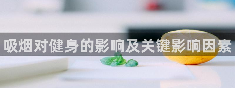 龙8官网手机登入口