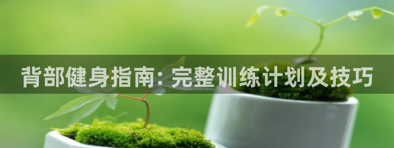 龙8国际最新官网