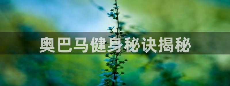 龙8国际官网多少
