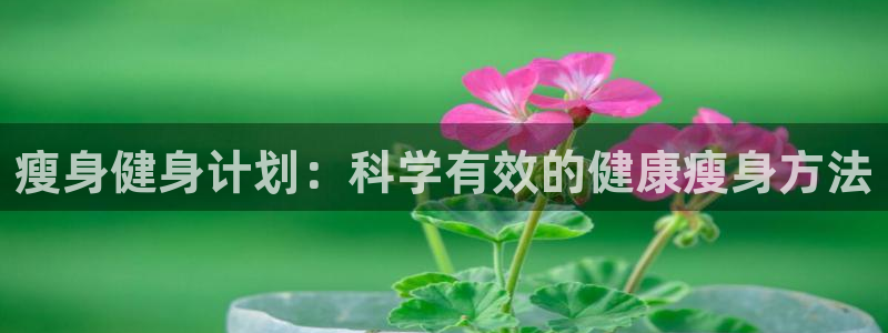 龙8国际官方网站-龙8国际pt老虎机