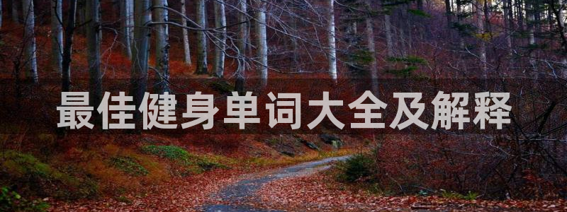龙8国际是什么平台