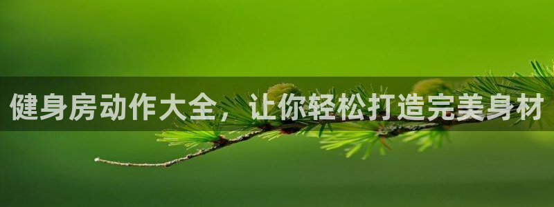 龙8国际老虎机游戏