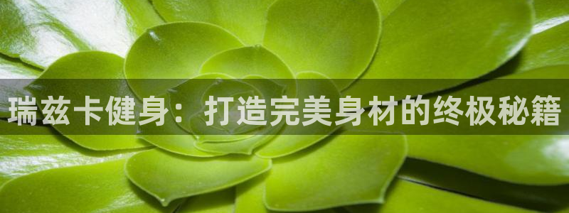 龙8国际pt网址