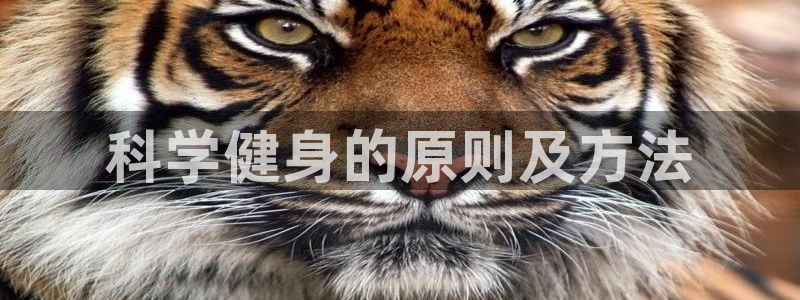 国际龙8hk