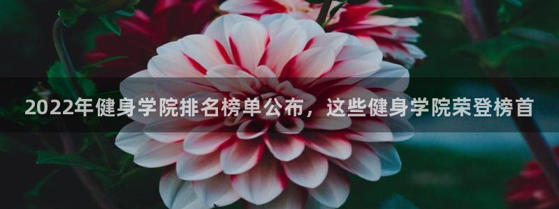 龙八国际娱乐在线游戏