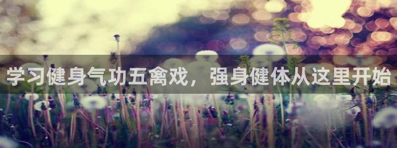 龙8国际网页登陆