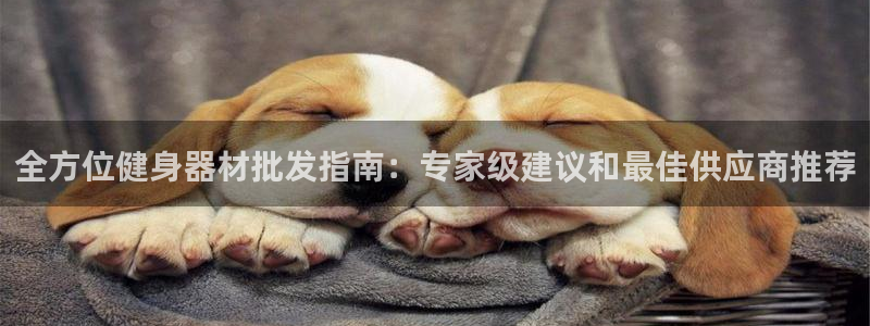 龙8国际是什么平台