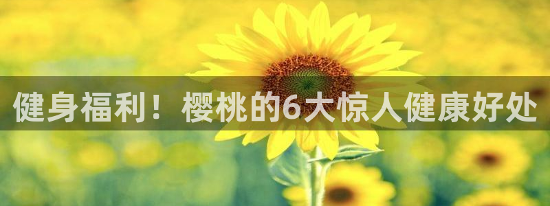 龙8国际最新官网