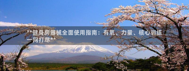 龙8国际怎么进不去了