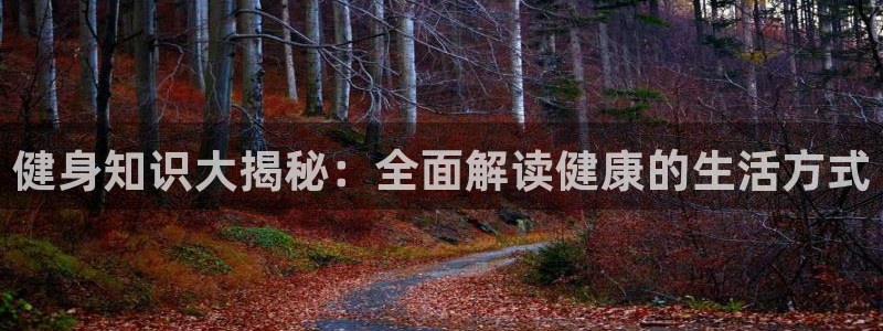 龙8国际是什么平台