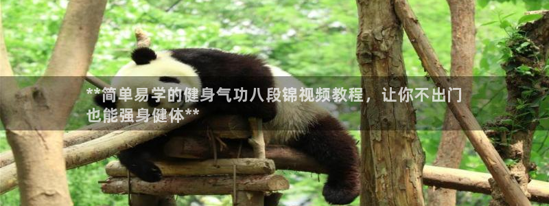 龙8国际登入