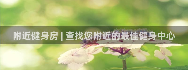 龙8游戏官方网站p