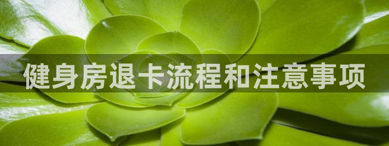 龙8游戏平台官方