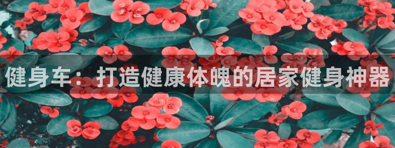 龙8国际app下载手机版
