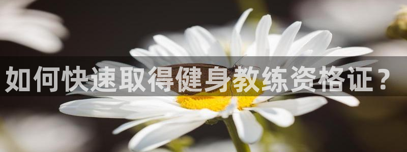 龙8棋牌平台
