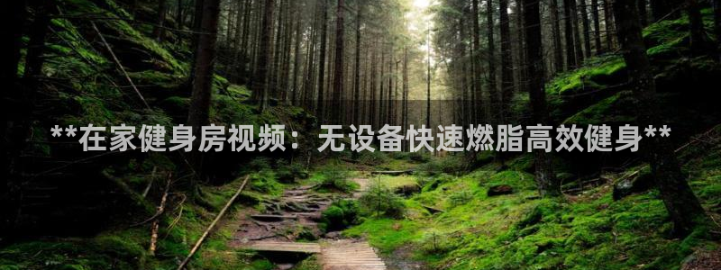 龙8游戏平台的网站