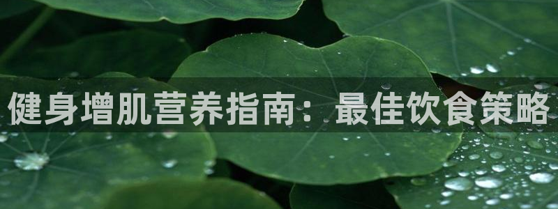 龙8国际电玩城