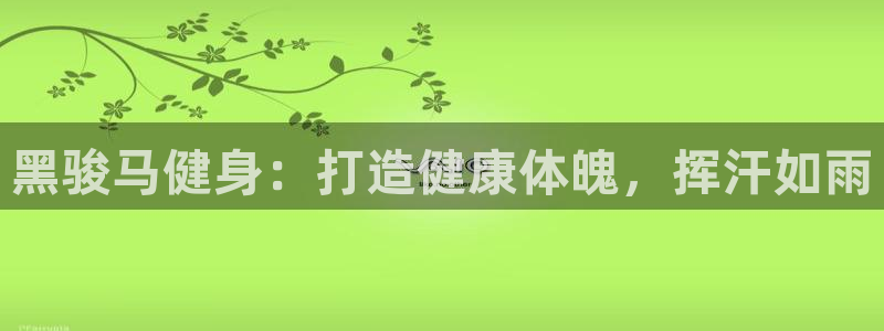 龙8国际的漏洞