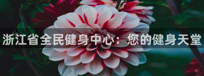 龙8国际怎么样