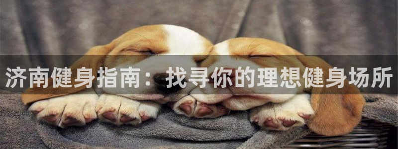 龙八国际娱乐老板是谁