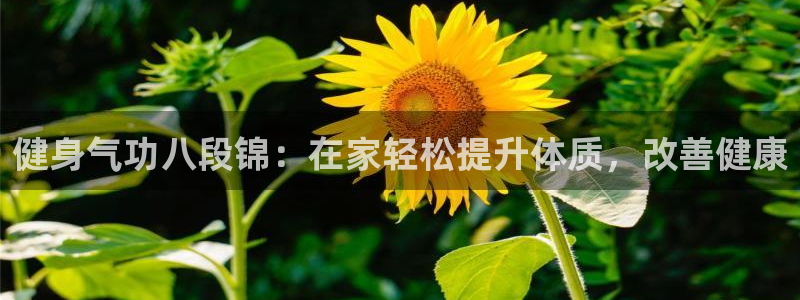龙8国际龙8官方网站