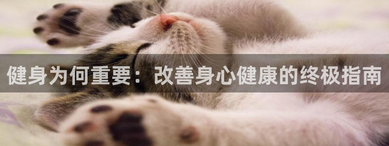 龙8国际网站