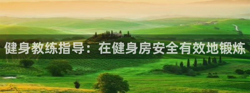 龙8国际.com