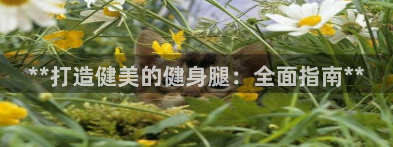 龙8游戏官方网站s