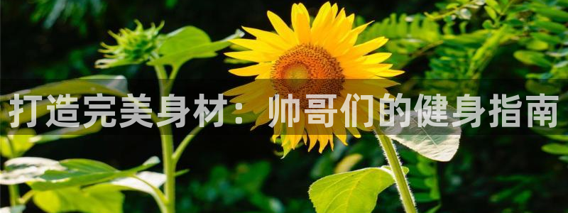 龙8国际网页登陆