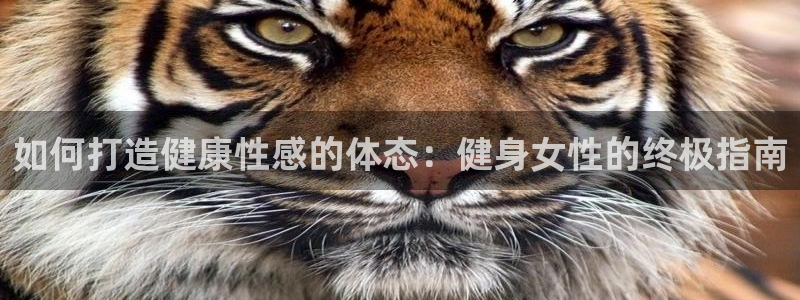 龙8国际备用