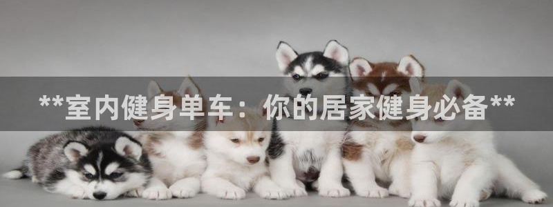 龙8官网国际