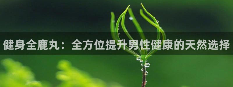 龙8国际老虎机官网