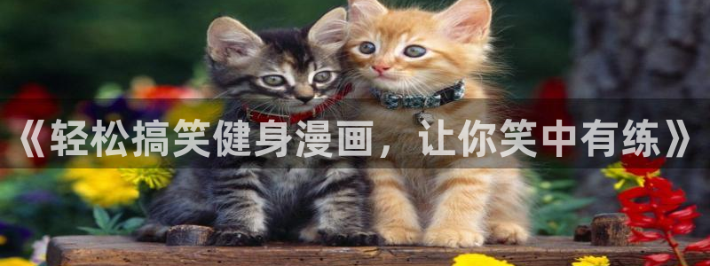 龙8app 国际