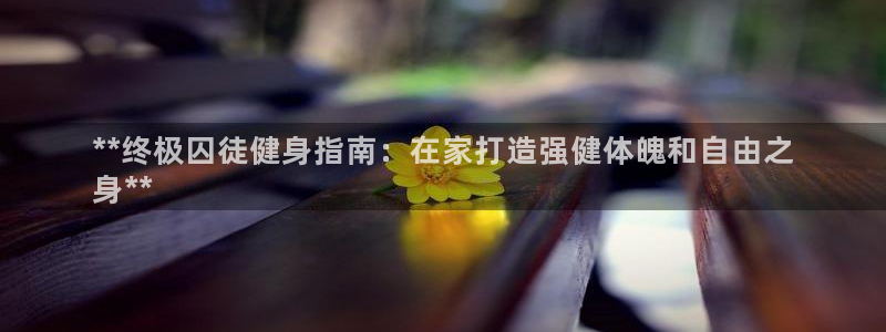 龙8国际官网正版