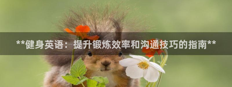 龙8国际提现