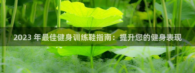 龙8官网在线试玩